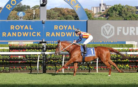 tj smith stakes odds